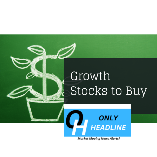 Growth Stocks Offer Buying Opportunities Amid Rising Interest Rates